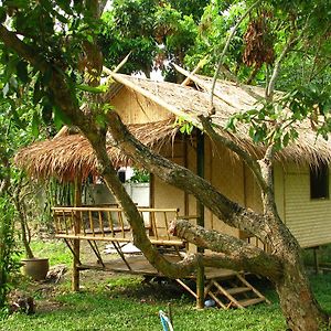 One-Bedroom Bungalow